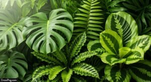 Green plant background image