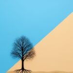 Half background image