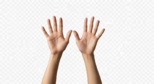 Hands raised transparent background image 3