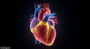 Heart black background image