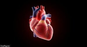 Heart in black background image
