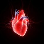 Heart in black background image