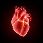 Heart on a black background image 4
