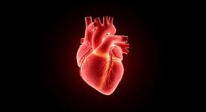 Heart on a black background image 4