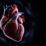 Heart with black background image 3