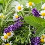Herbal background image