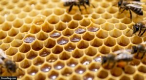 Honeycomb background image