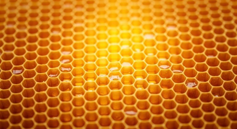Honeycomb background image 2