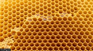 Honeycomb background image 2