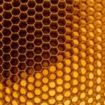 Honeycomb background image 4