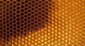 Honeycomb background image 4