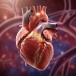 Human heart background image 2
