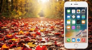 Iphone background fall image 2