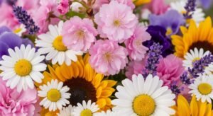 Iphone background flowers image 3