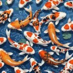 Koi fish background image