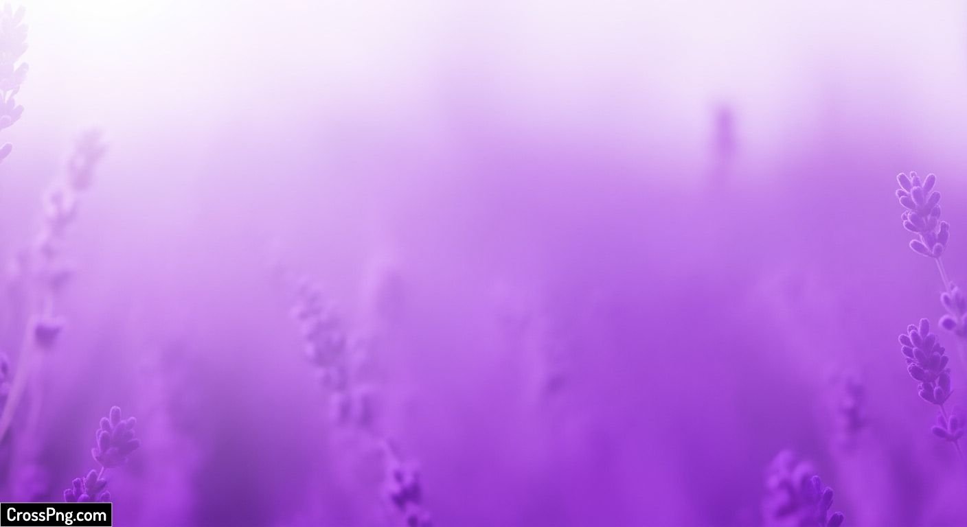 Lavender color background image 3
