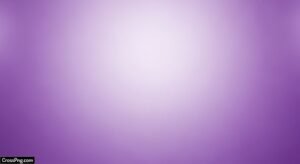 Lavender color background image 6