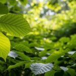 Leaves background image 2