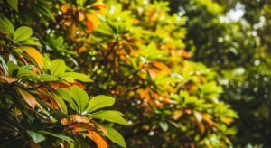 Leaves background image