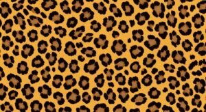 Leopard print background image 3