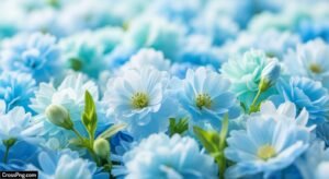 Light blue flower background image 2