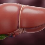 Liver background image