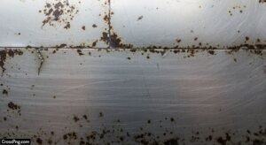 Metal background image 7