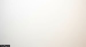 Milk white background image