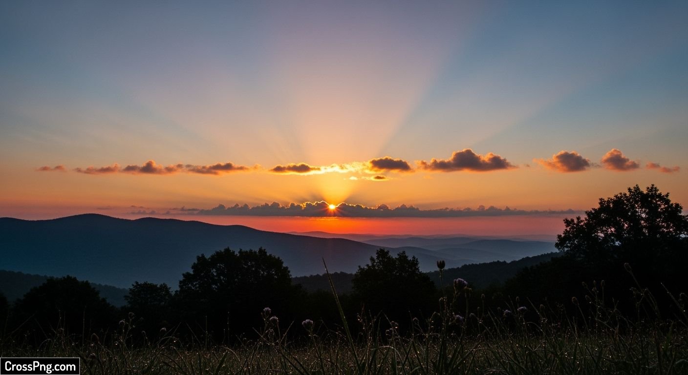 Morning sunrise background image 3