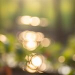 Nature bokeh background image