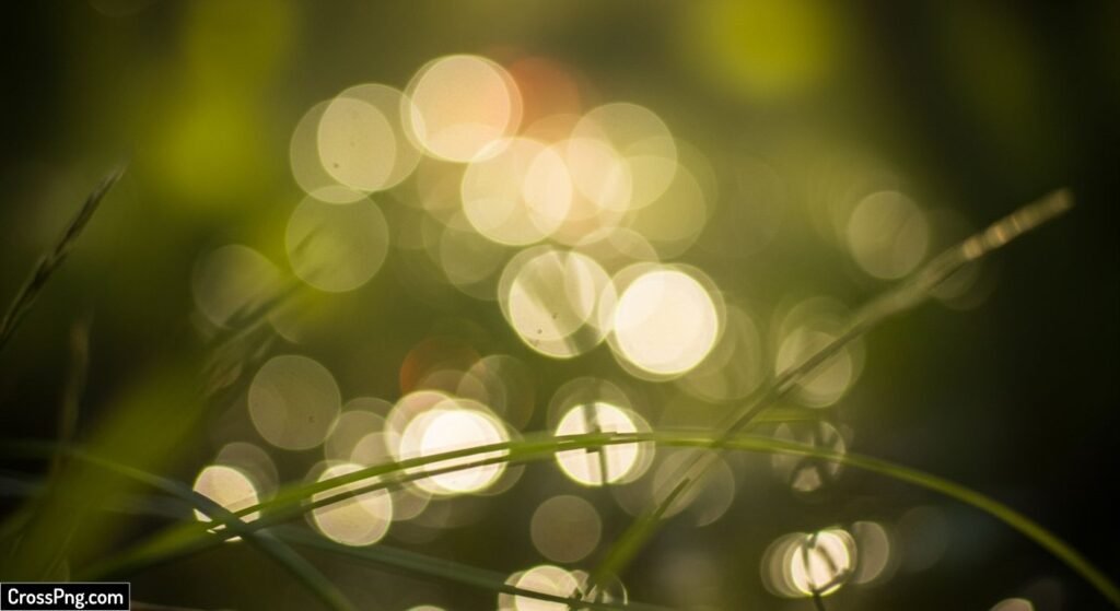 Nature bokeh background image 3