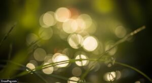 Nature bokeh background image 3