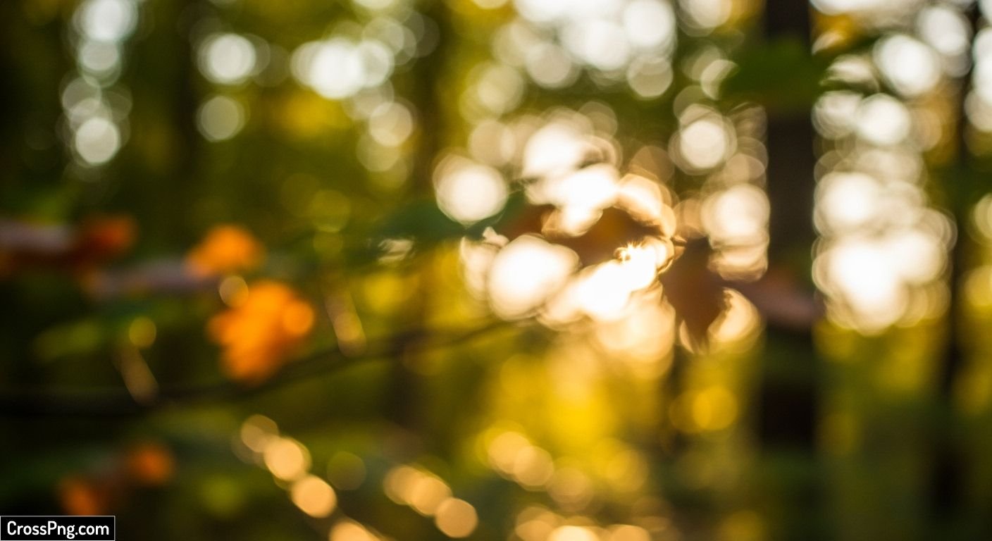 Nature bokeh background image 6