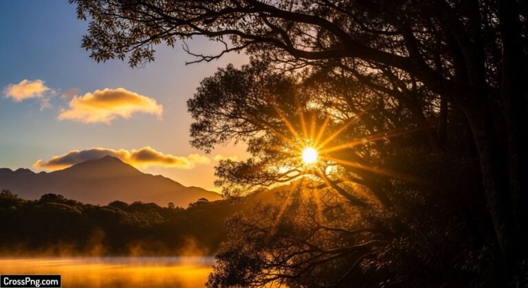 Nature sun background image