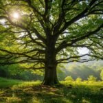 Nature tree background image 2