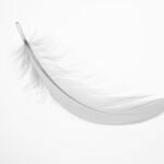 Nature white background image 3
