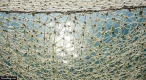 Net background image