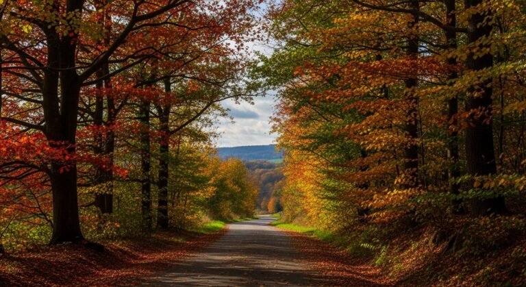 October background image 3