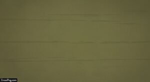 Olive green background image
