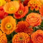 Orange floral background image