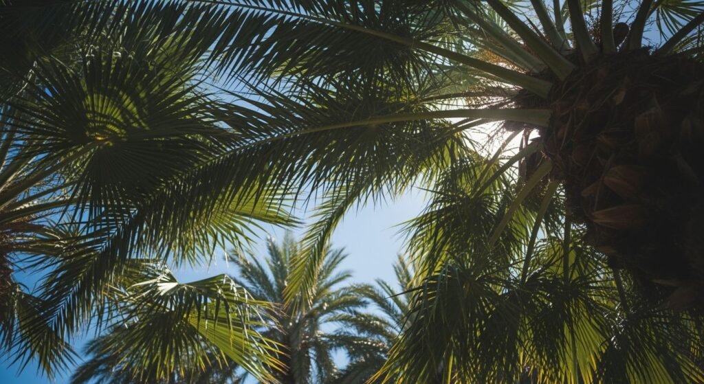 Palm tree background image 3