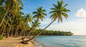 Palm trees background image 2