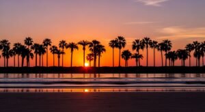 Palm trees background image 3