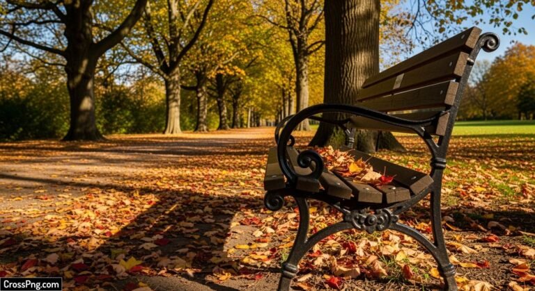 Park bench background image