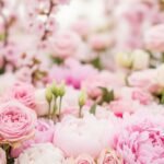 Pastel pink flower background image 3