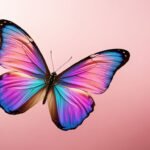 Pink background butterfly image