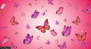 Pink background with butterflies image 3