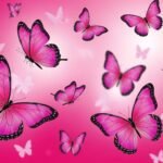 Pink butterfly background image 3