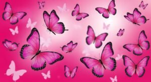 Pink butterfly background image 3