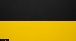 Plain black and yellow background image 3